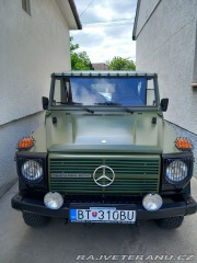 Mercedes-Benz G GD 250 WOLF 1992