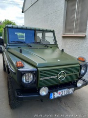 Mercedes-Benz G GD 250 WOLF 1992