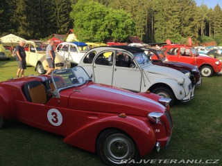 Citroën Ostatní modely Burton 1984