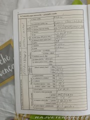 Nissan Ostatní modely Gxe Stanza 2.0 1987