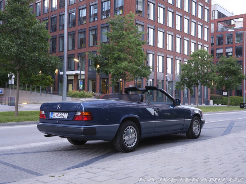 Mercedes-Benz 300 a124