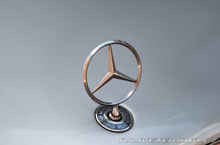Mercedes-Benz M C36 AMG 1995
