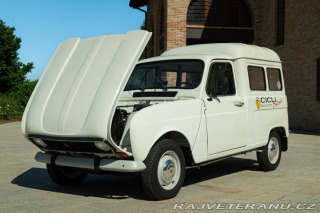 Renault 4 FOURGONNETTE R 1981