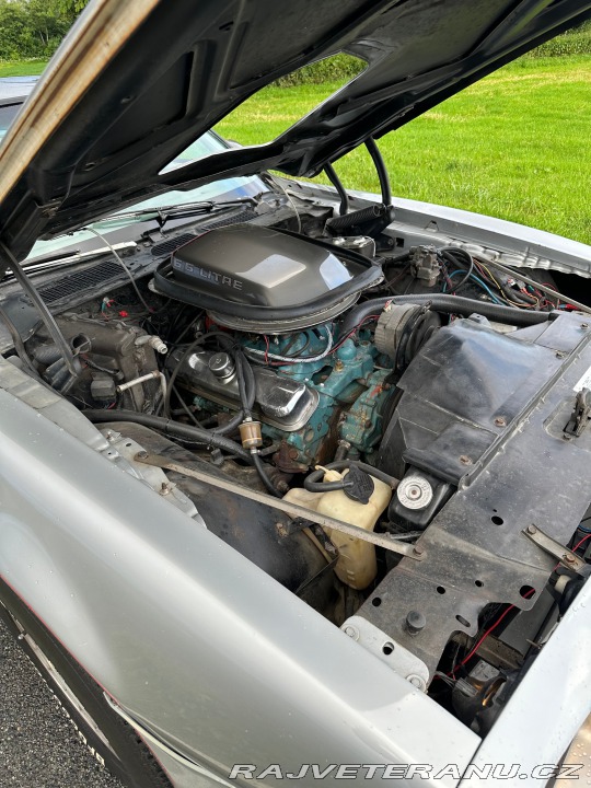 Pontiac Trans Am 1979