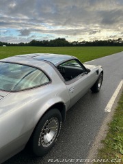 Pontiac Trans Am 1979