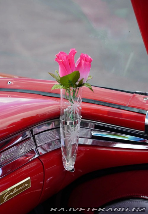 Ford Galaxie Skyliner 1959