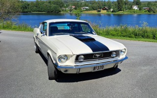 Ford Mustang Fastback GT Clone