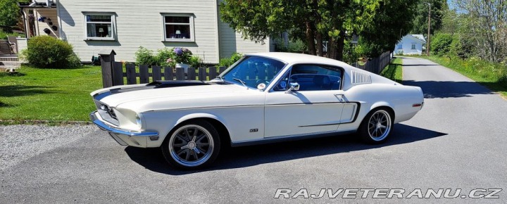 Ford Mustang Fastback GT Clone 1968