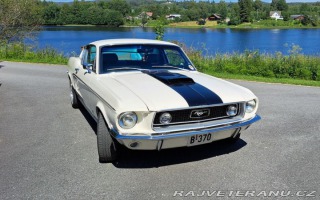 Ford Mustang Fastback GT Clone 1968