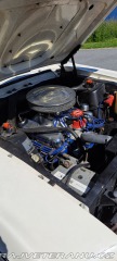 Ford Mustang Fastback GT Clone 1968