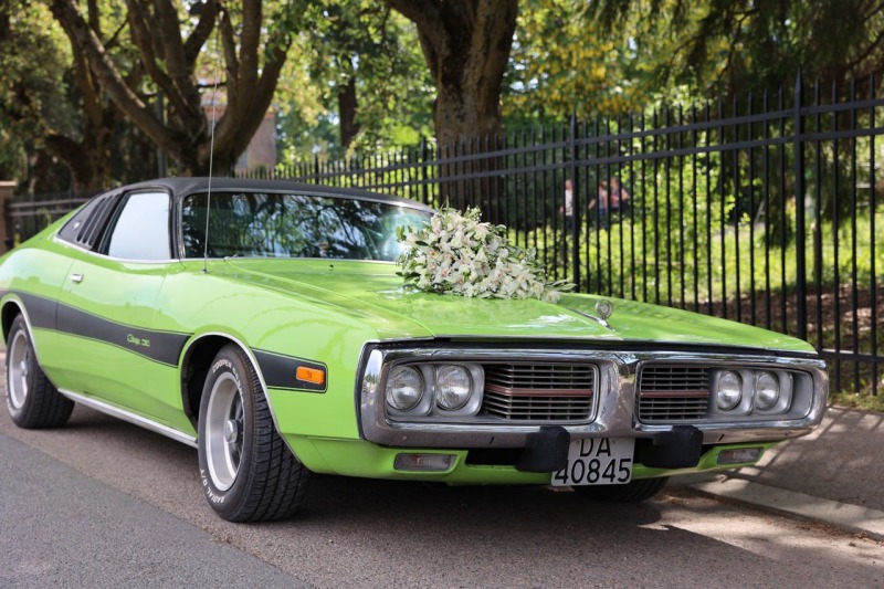 Dodge Charger SE