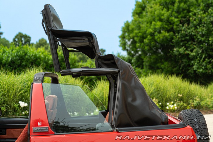Volkswagen Ostatní modely BIAGINI PASSO 4WD 1992