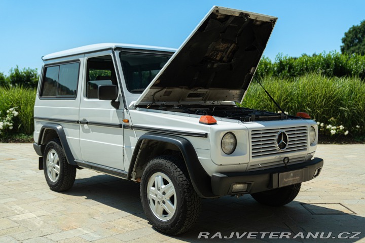 Mercedes-Benz 200 G 200 GE 1993