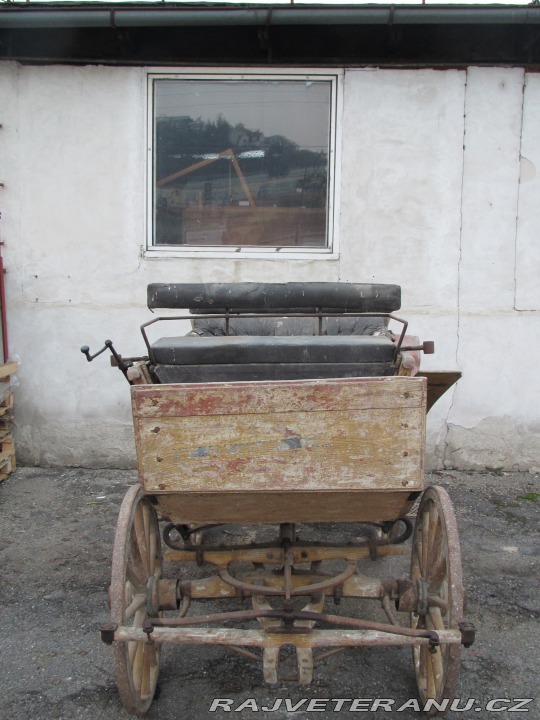 Ostatní značky Ostatní modely Kočár za koně 1880