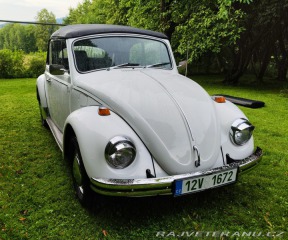 Volkswagen Brouk Convertible 1968