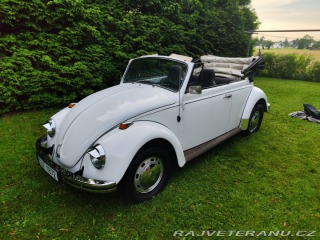 Volkswagen Brouk Convertible 1968