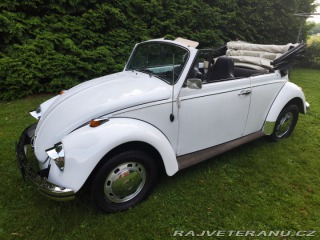 Volkswagen Brouk Convertible 1968