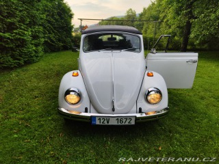 Volkswagen Brouk Convertible 1968