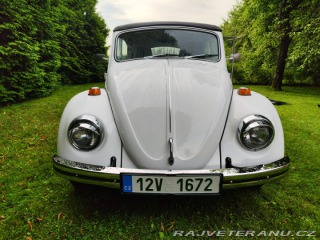 Volkswagen Brouk Convertible 1968