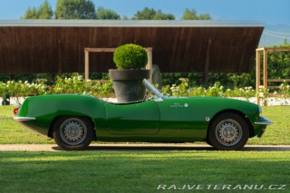 Ostatní značky Ostatní modely Elva COURIER MKII 1960