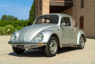 Volkswagen Brouk Maggiolone