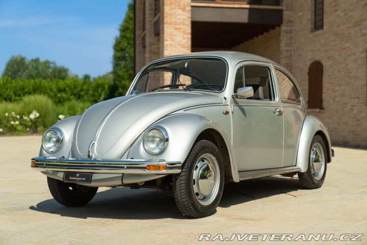 Volkswagen Brouk Maggiolone 1982