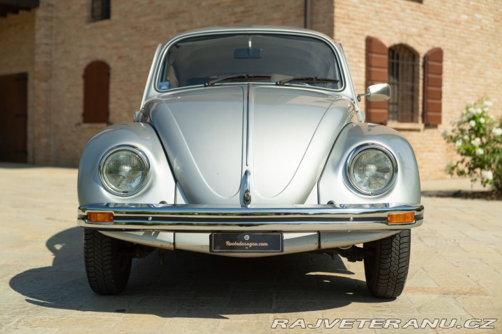 Volkswagen Brouk Maggiolone 1982