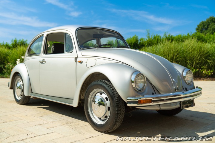 Volkswagen Brouk Maggiolone 1982