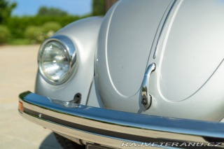 Volkswagen Brouk Maggiolone 1982