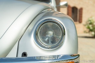 Volkswagen Brouk Maggiolone 1982
