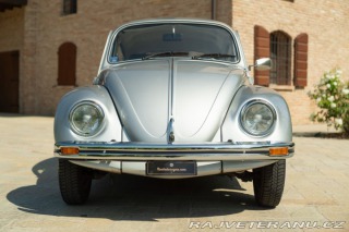 Volkswagen Brouk Maggiolone 1982