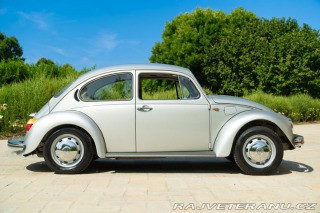 Volkswagen Brouk Maggiolone 1982