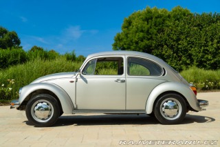 Volkswagen Brouk Maggiolone 1982