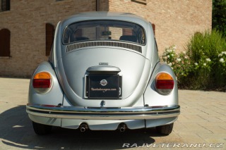 Volkswagen Brouk Maggiolone 1982