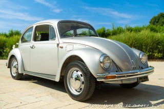 Volkswagen Brouk Maggiolone 1982