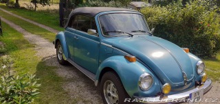 Volkswagen Brouk 