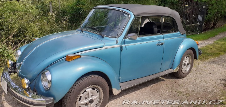 Volkswagen Brouk 1979