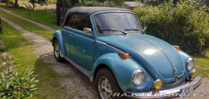 Volkswagen Brouk 1979