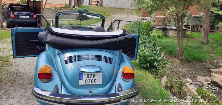 Volkswagen Brouk 1979