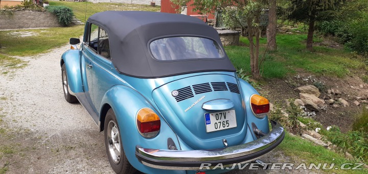 Volkswagen Brouk 1979