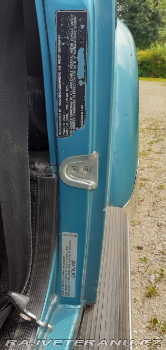 Volkswagen Brouk 1979
