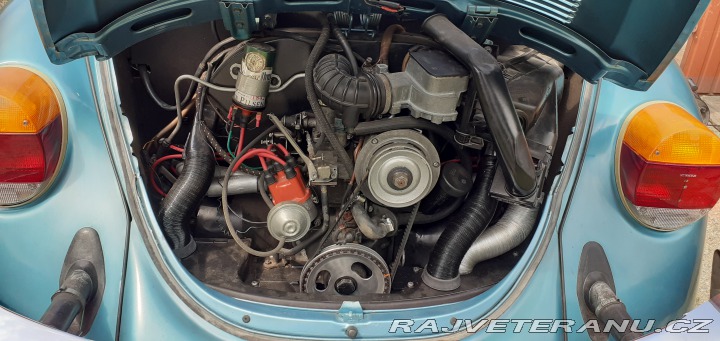 Volkswagen Brouk 1979