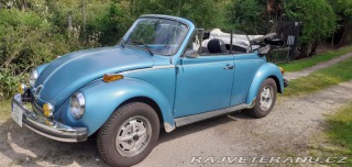 Volkswagen Brouk 1979
