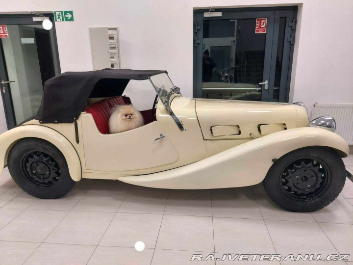 Opel Ostatní modely Roadster 1934