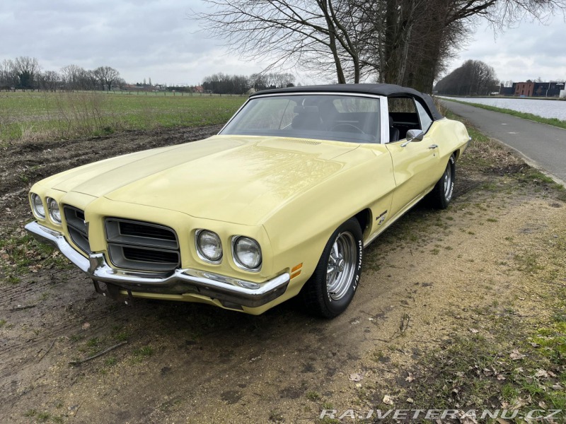 Pontiac LeMans Sport Cabriolet