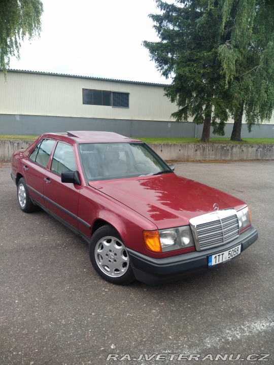Mercedes-Benz 230 W124 230 1989