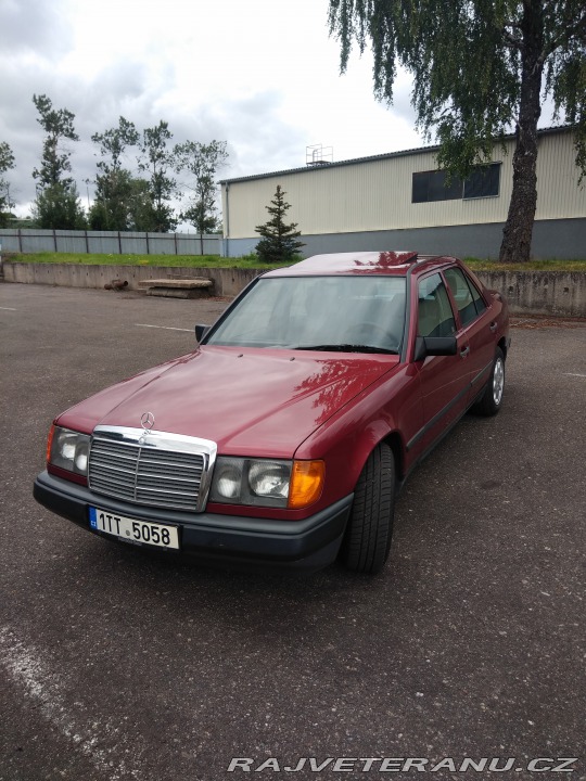 Mercedes-Benz 230 W124 230 1989