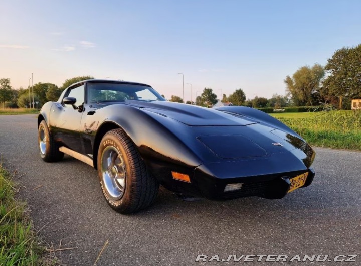 Chevrolet Corvette 1979