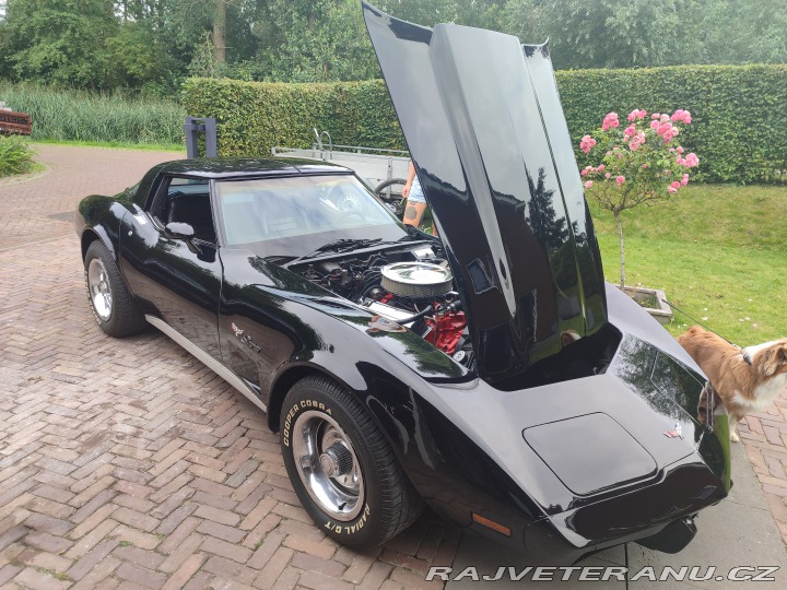Chevrolet Corvette 1979