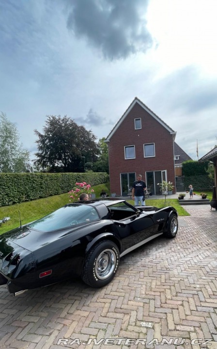 Chevrolet Corvette 1979